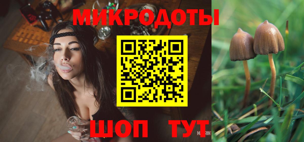 где найти наркотики  Псилоцибиновые грибы мицелий  Вход с VPN  Курчалой 