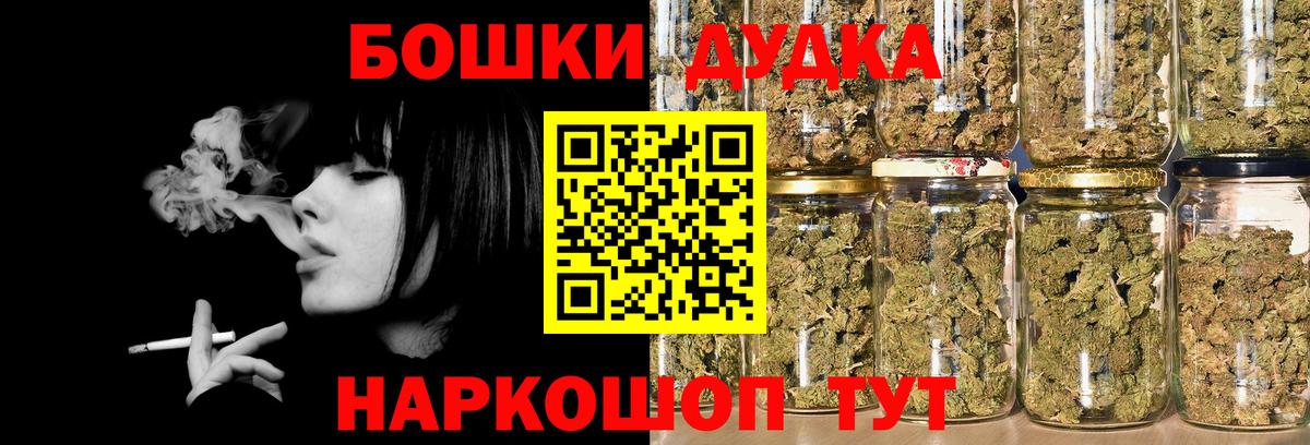 Бошки Шишки планчик Курчалой